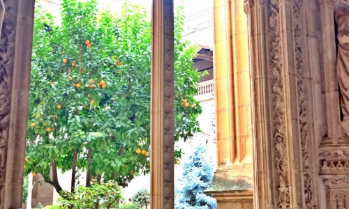 DSCF2543