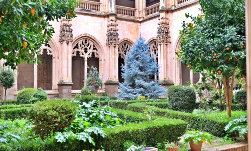 DSCF2544