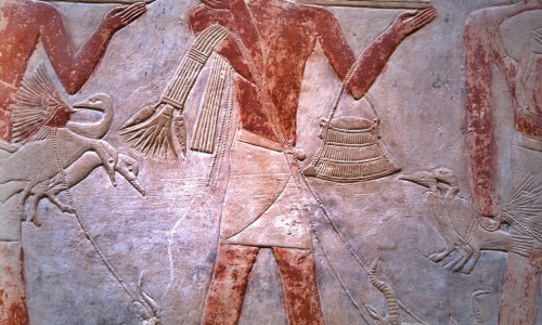 Cairo3