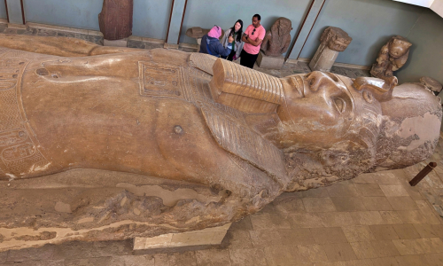 PXL_20241218_083831431