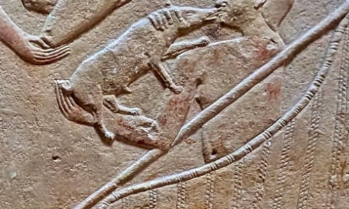 PXL_20241218_093430583