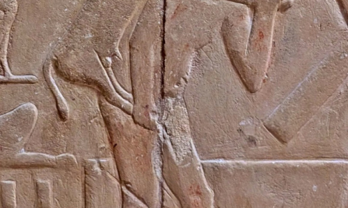 PXL_20241218_093509457