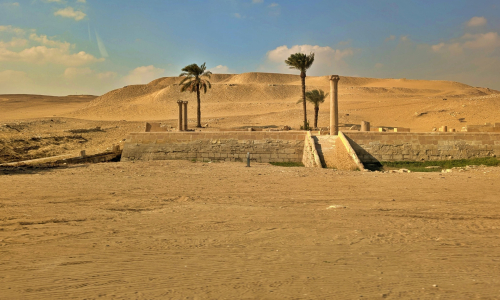 PXL_20241218_094832661.MP_