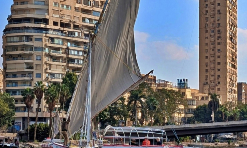 PXL_20241218_114503144.MP_