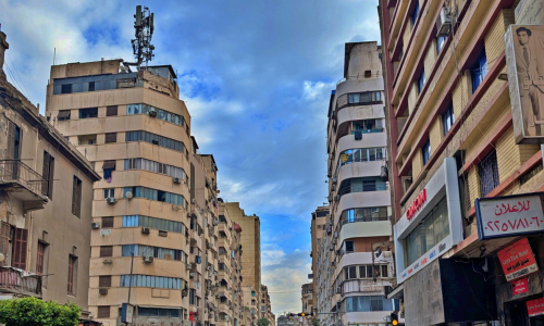 PXL_20241220_074611682