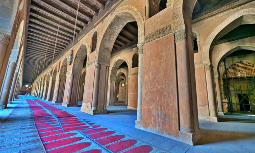 PXL_20241220_084617008