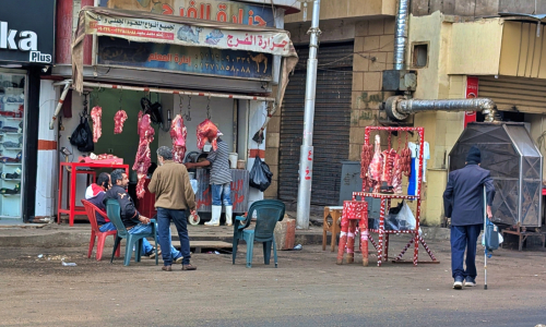 PXL_20241220_092519929