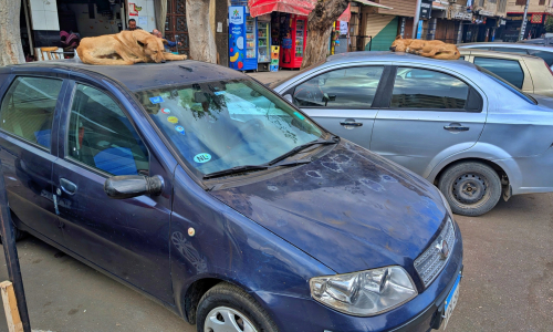 PXL_20241220_092824034