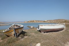 dscf7248