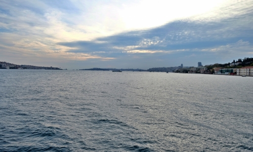 DSCF3009