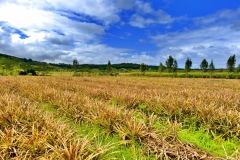 dscf5038