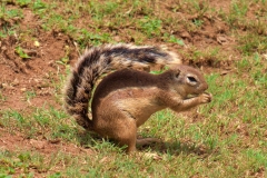 dscf1369