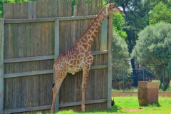 dscf1502