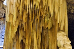 dscf4375