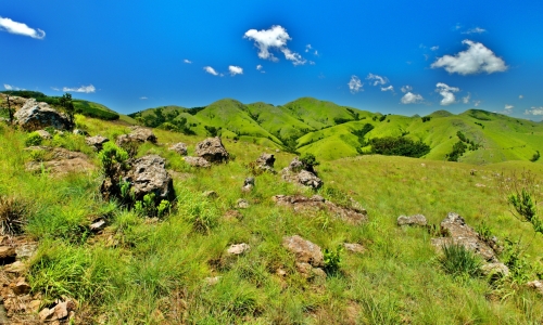 DSCF8071