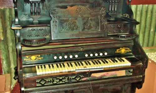 DSCF0367