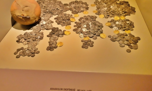 DSCF8815