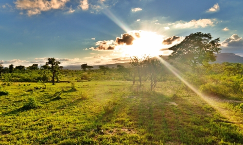 DSCF6500