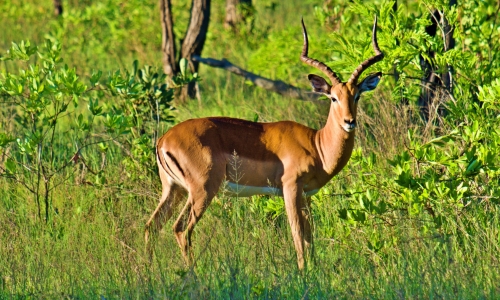 DSCF8038