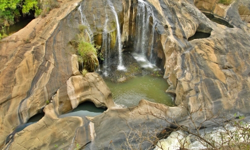 DSCF1566
