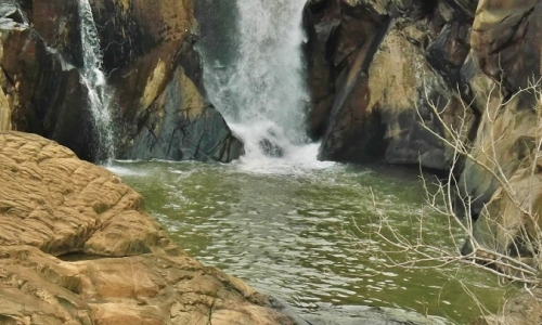 DSCF1569