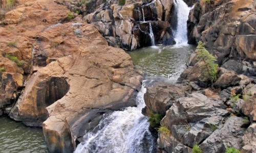 DSCF1572