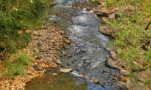 DSCF1575