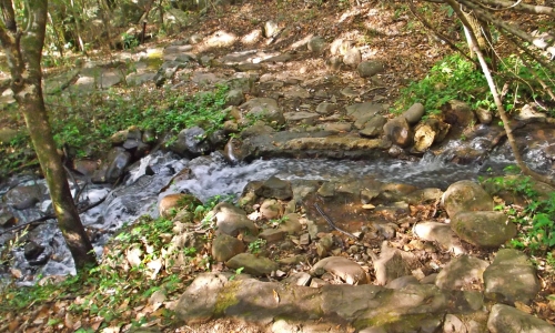 DSCF1583