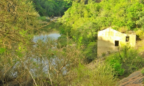 DSCF1590
