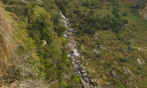 DSCF1662