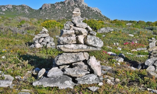 DSCF0855
