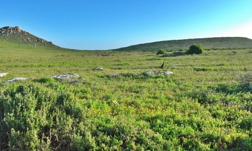 DSCF0869