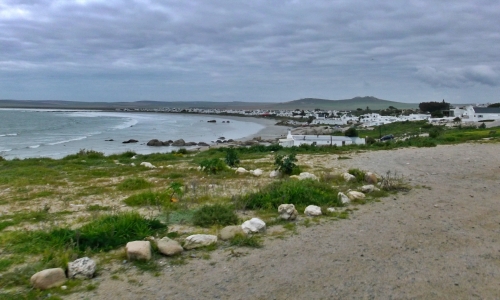 DSCF0878