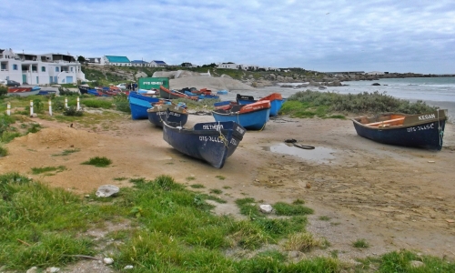 DSCF0880