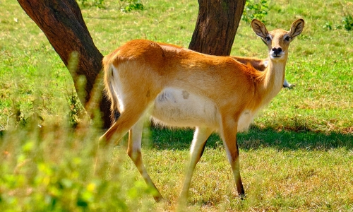 DSCF0588