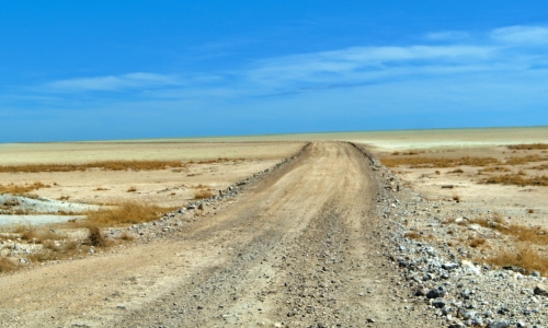 DSCF0037