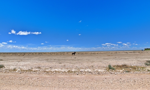 DSCF0048