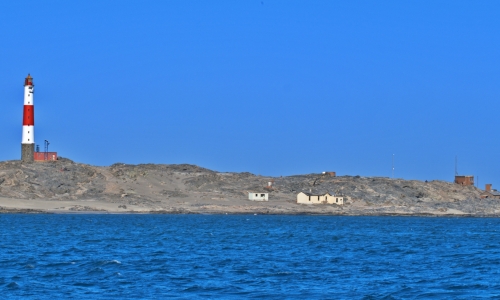 DSCF9848