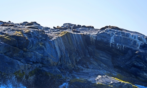 DSCF9853