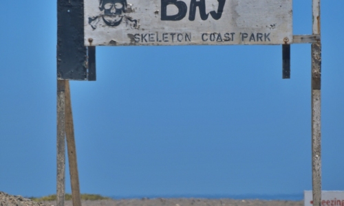 DSCF9667