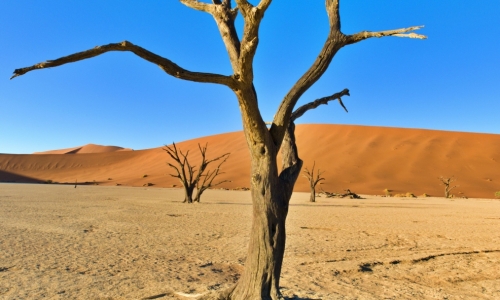 DSCF0275