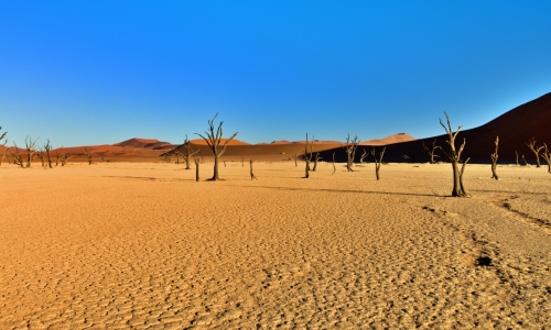 DSCF0282