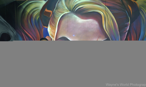DSCF0924