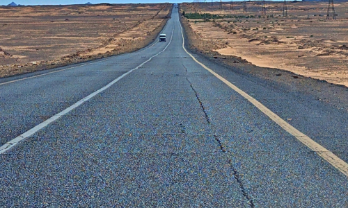 PXL_20241223_102544264