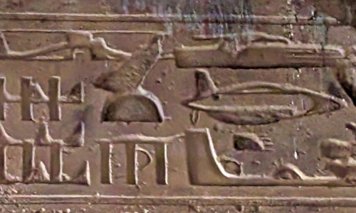 PXL_20241230_102524062