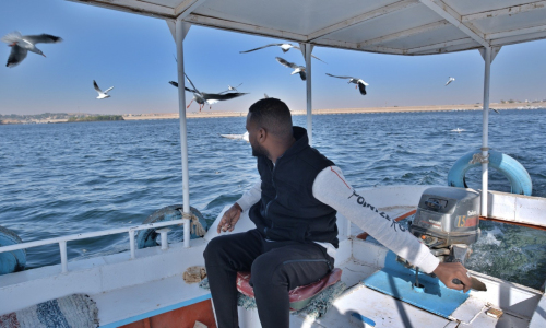 Aswan1