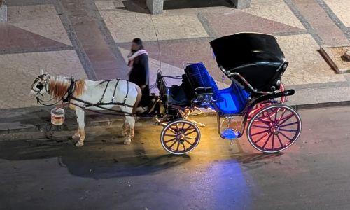 PXL_20241224_185851495