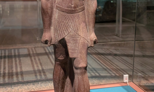 PXL_20241224_101657999
