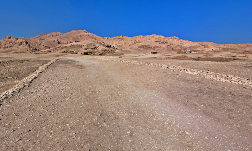 PXL_20241229_084928276