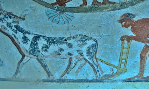 PXL_20241229_093849310.MP_